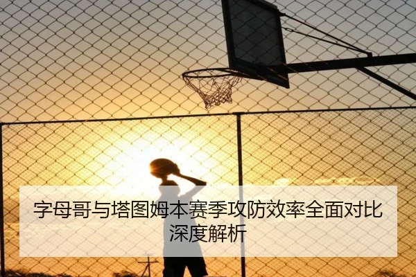 字母哥与塔图姆本赛季攻防效率全面对比深度解析